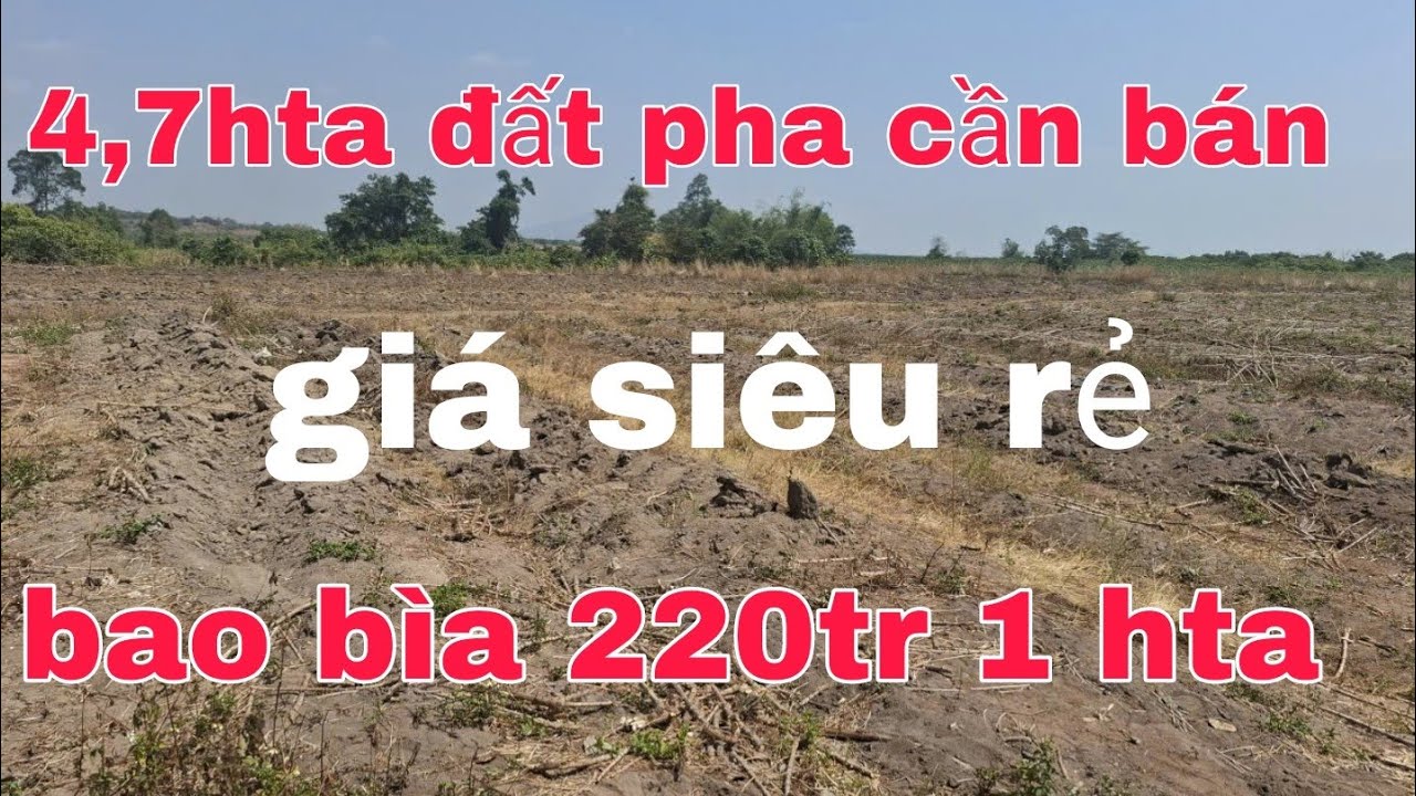 Cần bán 4,7hta đất đen pha trên đất có hồ cách TL 1,5km bao bìa 220tr 1 ha lh 0785311413