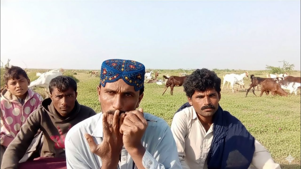 Aligarh se چنگ کا بہترین اواز 