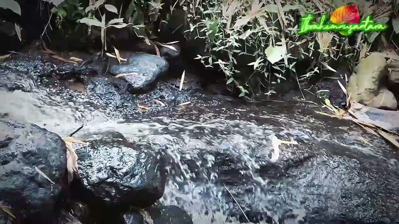 natural sounds of flowing water & birdsong to relieve stress, sleep well & study|| ASMR|Naturesounds