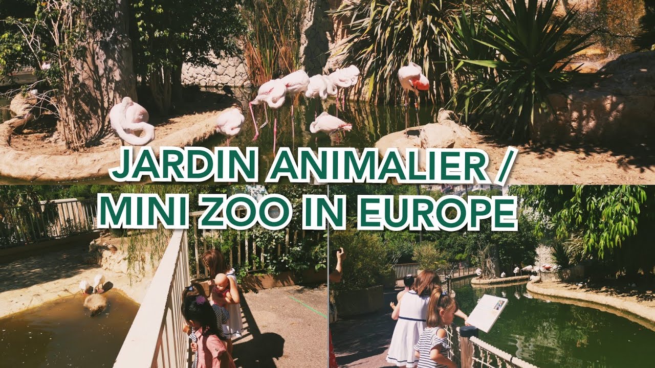 Jardin Animalier de Monaco /Mini Zoo in Europe!