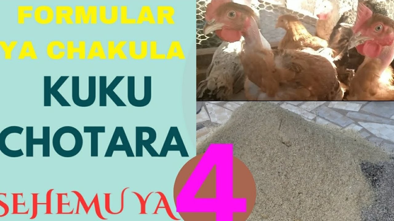 KUKU FARM. IJUE FOMULA YA CHAKULA CHA KUKU SEHEMU YA NNE.@COLENDFARM