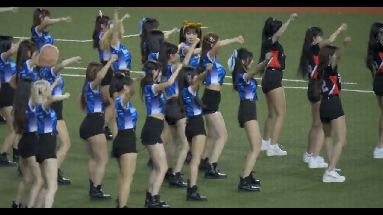 20250614 大巨蛋 FA feat.KIA TIGERS CHEERLEADER (Fight For All)
