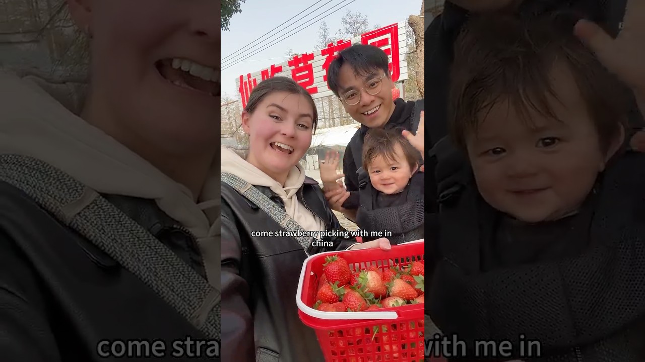 Сбор клубники в Китае! 🍓