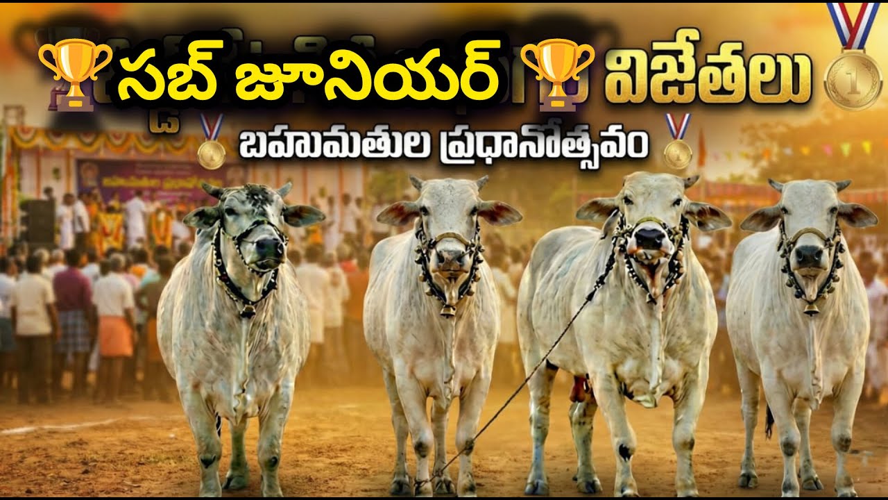 🚩 నాదెండ్ల సబ్ జూనియర్ విభాగం విజేతలకు బహుమతుల ప్రధానోఉత్సవం