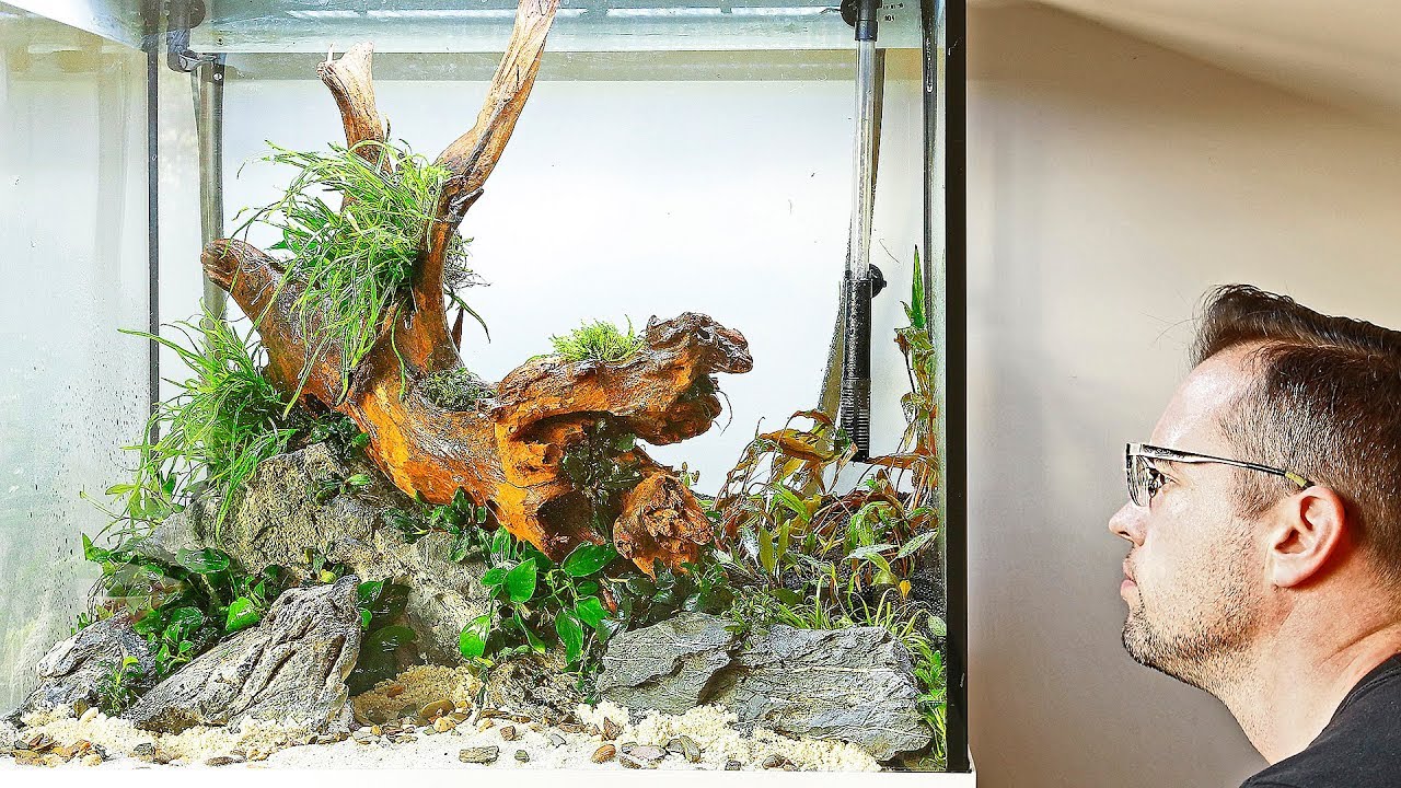 How to Aquascape a Nature Aquarium with Pete (Part 2 of 3)