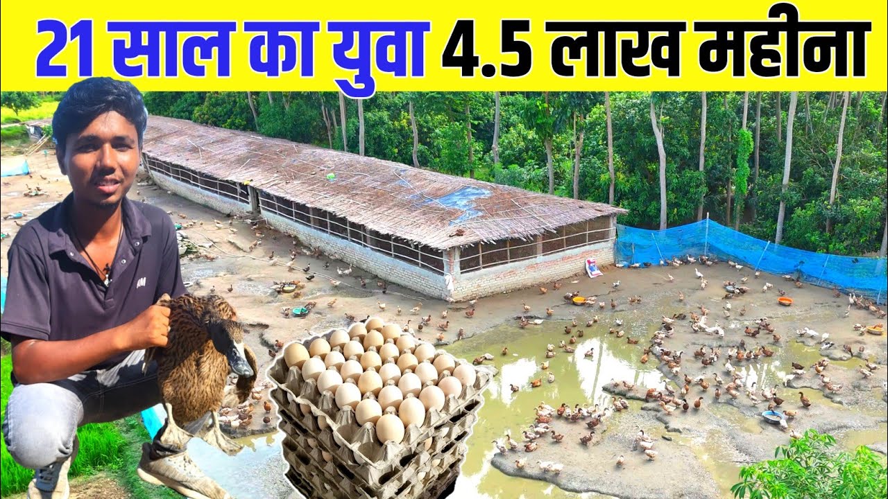 ​मिलिए 21 साल के 🦆Duck Framing King से: लाखों की कमाई, ज़बरदस्त सक्सेस स्टोरी! Duck farming tour