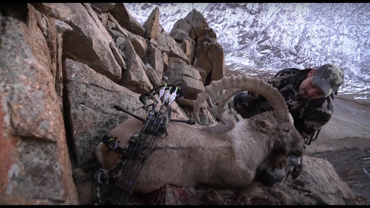 Ibex Hunting in Sairam Ugam, Kazakhstan (Part II)