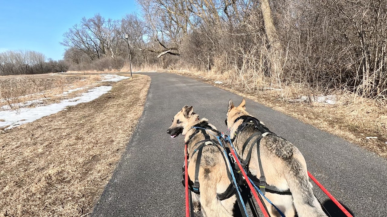 Hilda and Herman explore the North Straight River Parkway Episode 1