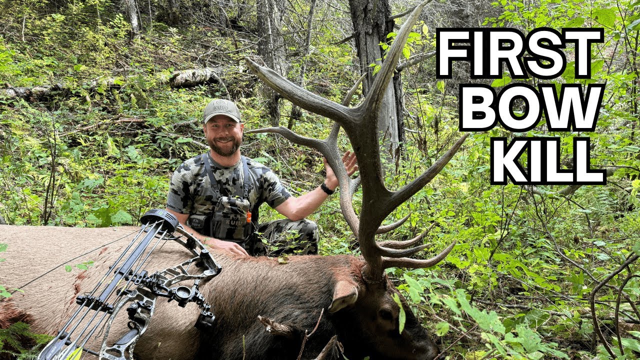 2024 Archery Elk Hunt - North Idaho Public - Solo (FIRST bow kill)