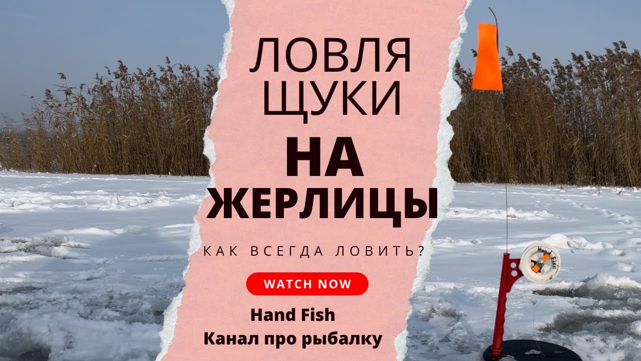 Щука на жерлицы | Как правильно ставить жерлицы на щуку🎣 #рыбалка #зимняярыбалка #жерлицы #щука