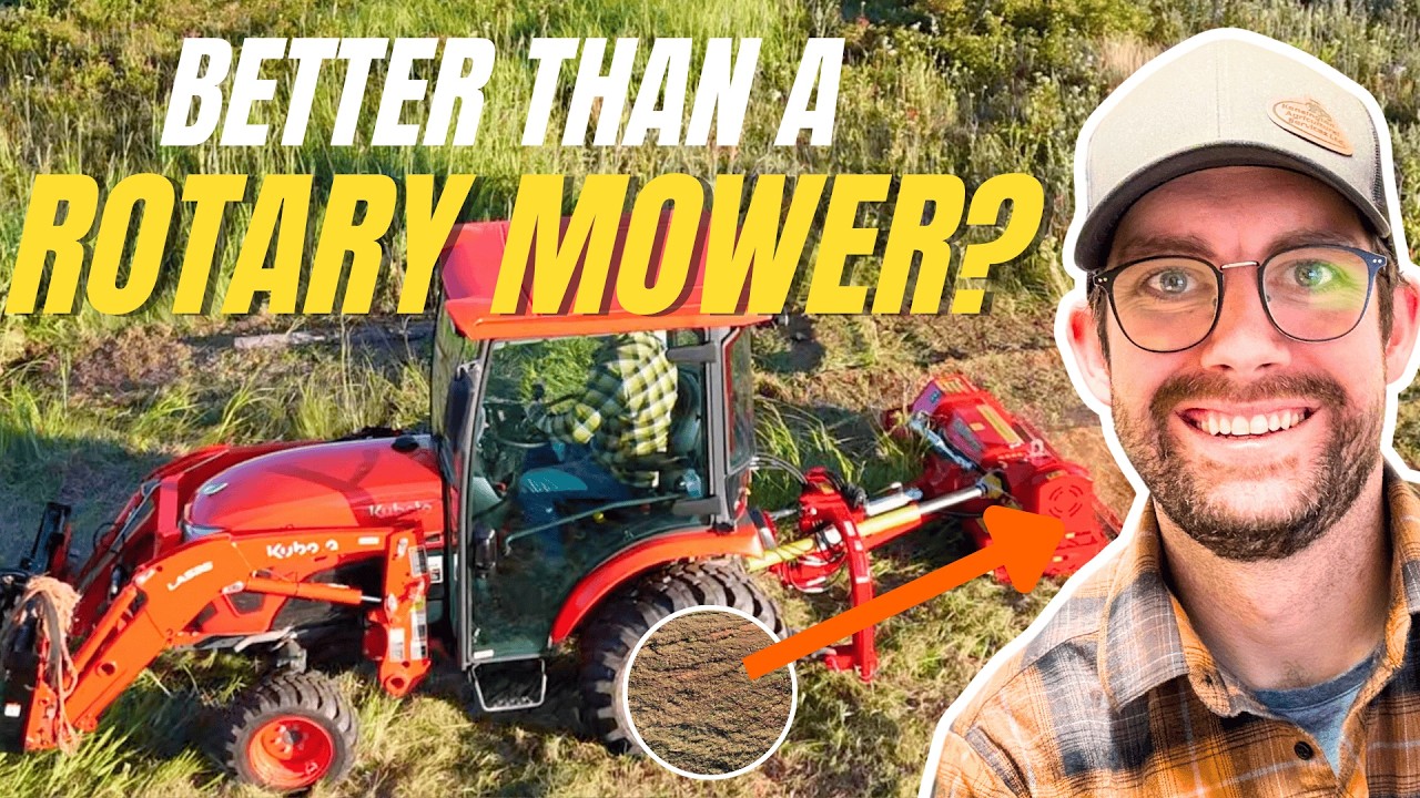 Kubota LX2610 vs Thick Brush | Del Morino Centurion Super Flail Mower
