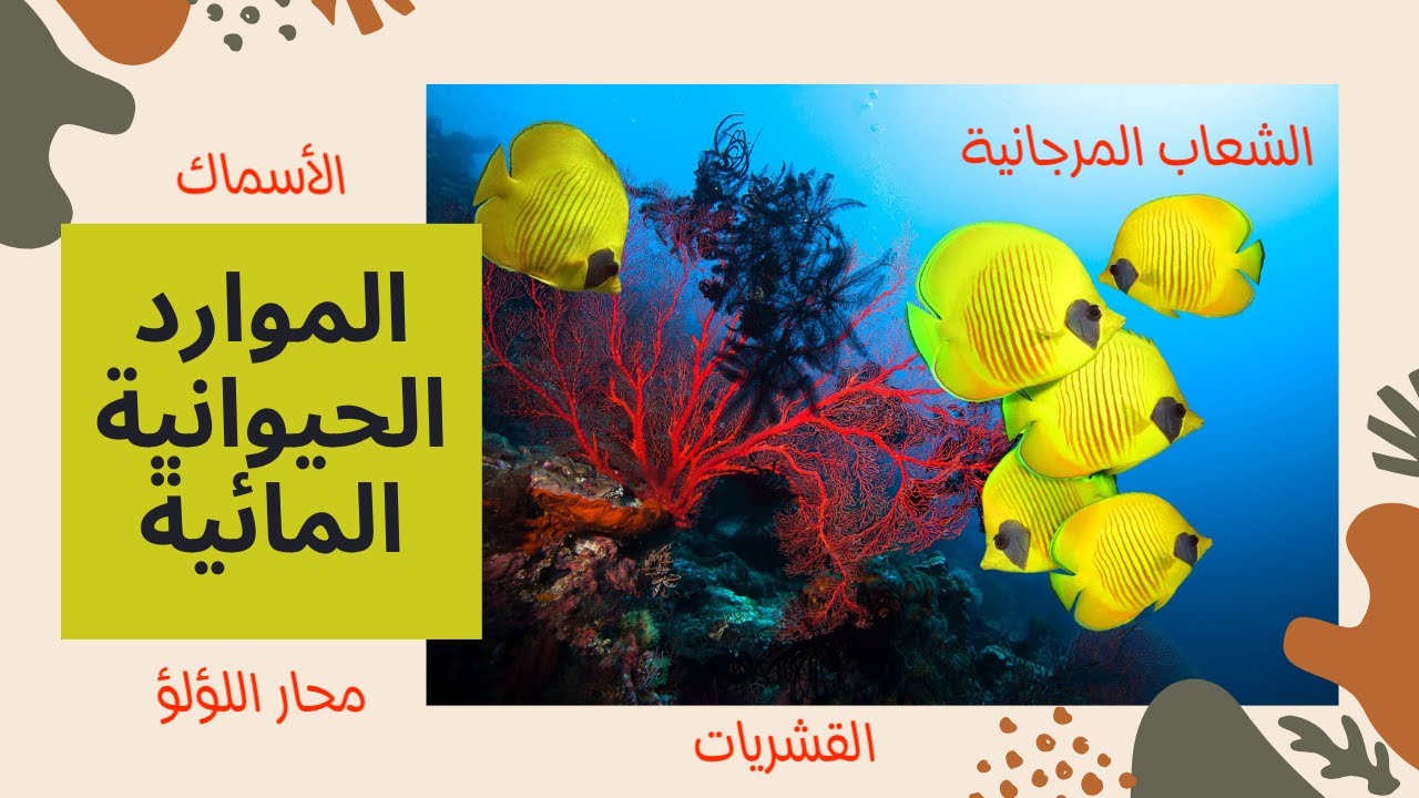 الموارد الحيوانية المائية| الأسماك - القشريات- محار اللؤلؤ - الحدائق المرجانية