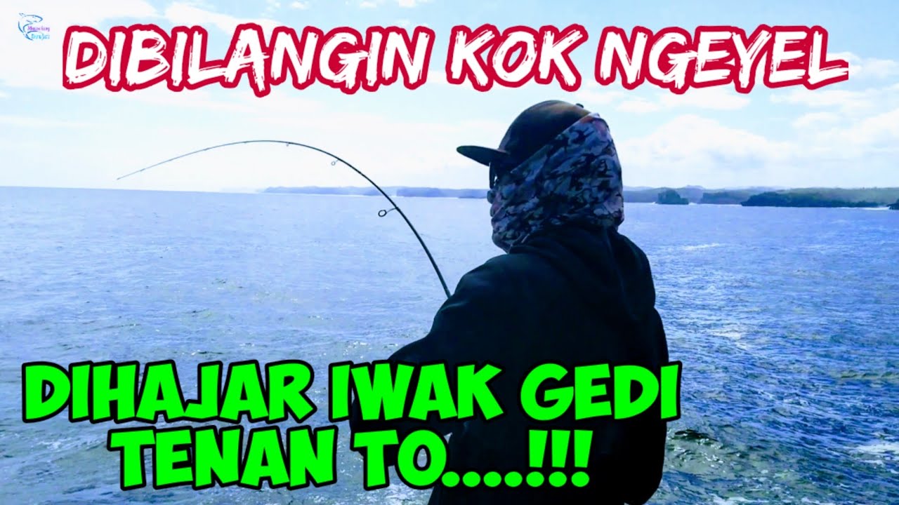 pancing kecil dapatnya ikan besar - mancing bersama asli mancing keren bos