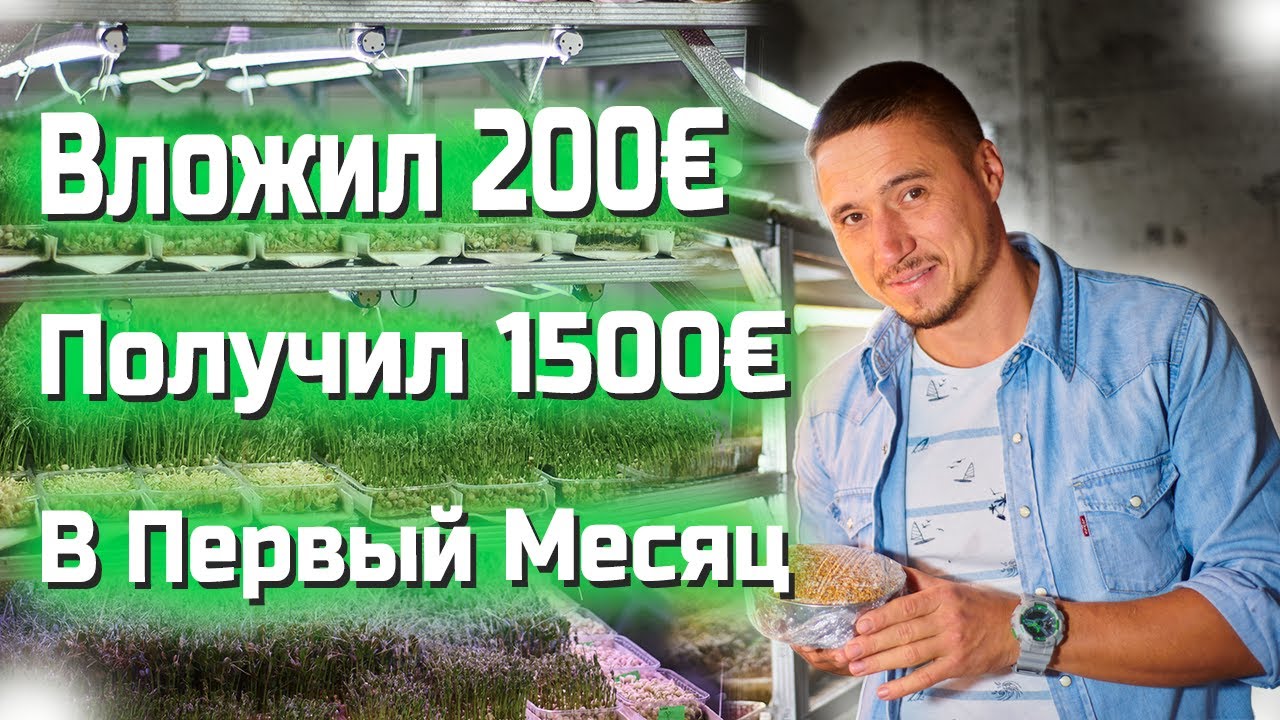 Ферма Микрозелени в Германии. Минимум вложений и сразу прибыль