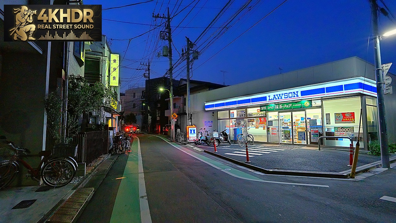Quiet Tokyo Alleys Walking from Twilight into Night | Japan 4K HDR