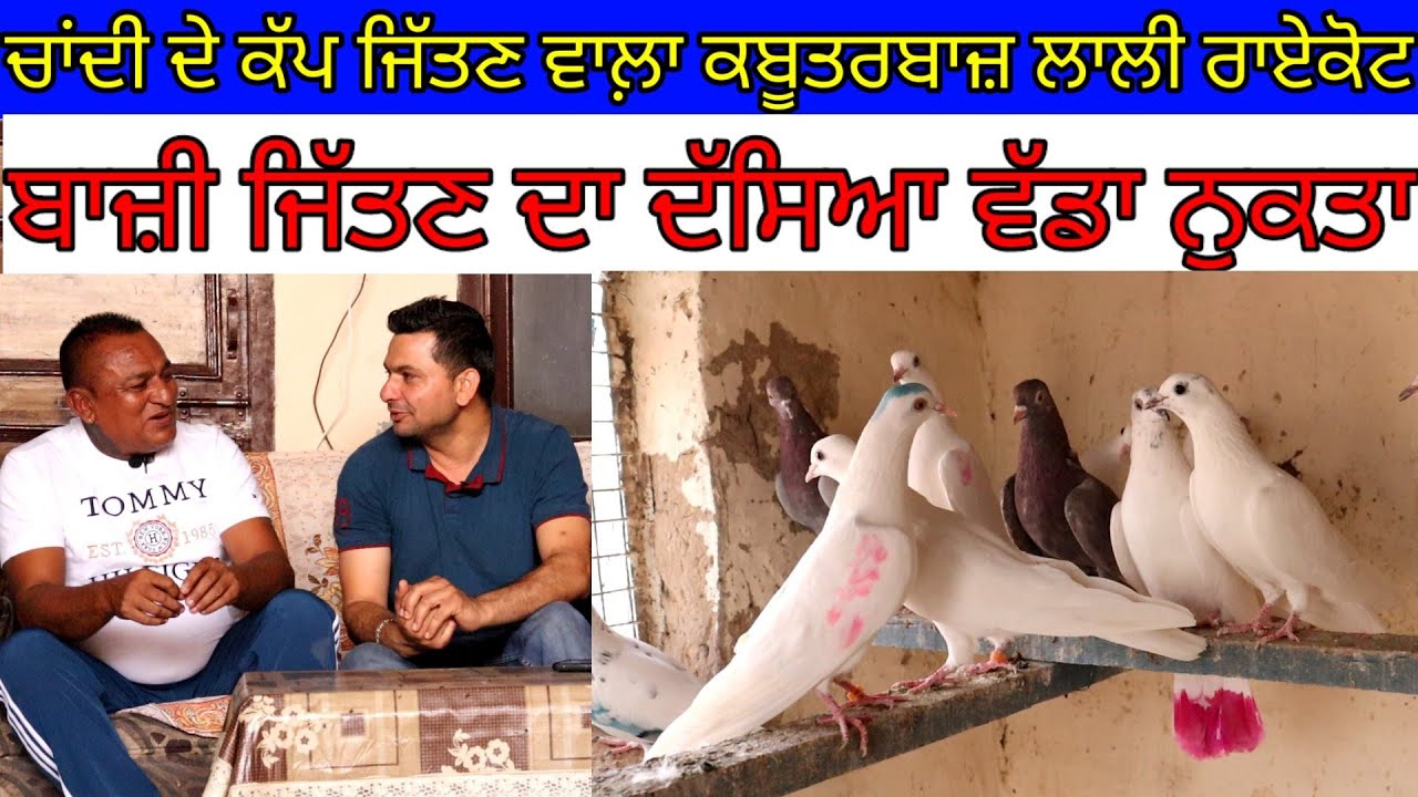ਚਾਂਦੀ ਦੇ ਕੱਪ ਜਿੱਤਣ ਵਾਲ਼ਾ ਕਬੂਤਰਬਾਜ਼ ਲਾਲੀ ਰਾਏਕੋਟ||Harbhej Sidhu|Laly Raikot|Kabutarbaz|Piegien video|