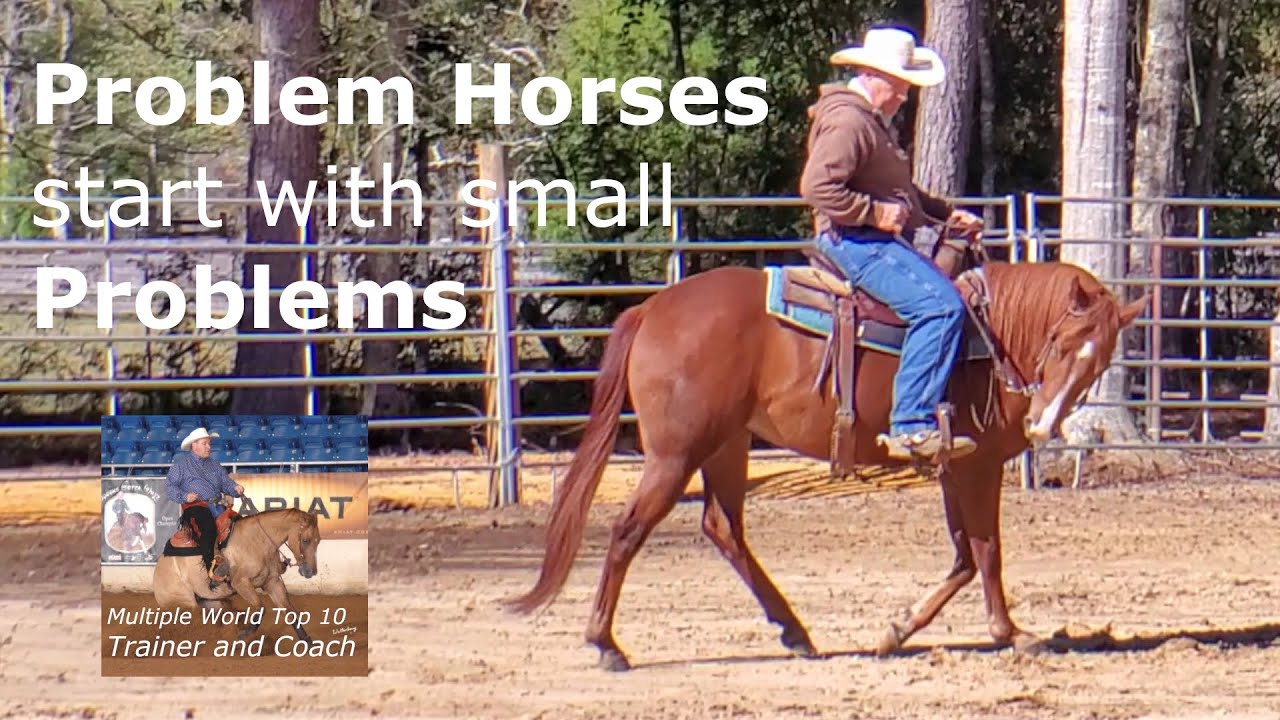 Preventing Problem Horses: Early Training Interventions