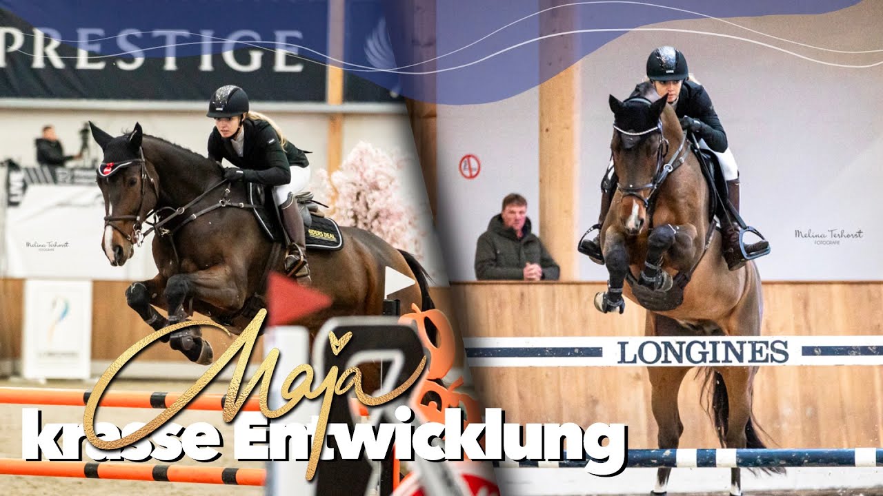 Dopingkontrolle nach unserem 1. internationalen 1,45m Springen 🫢 | Weekly Vlog #180