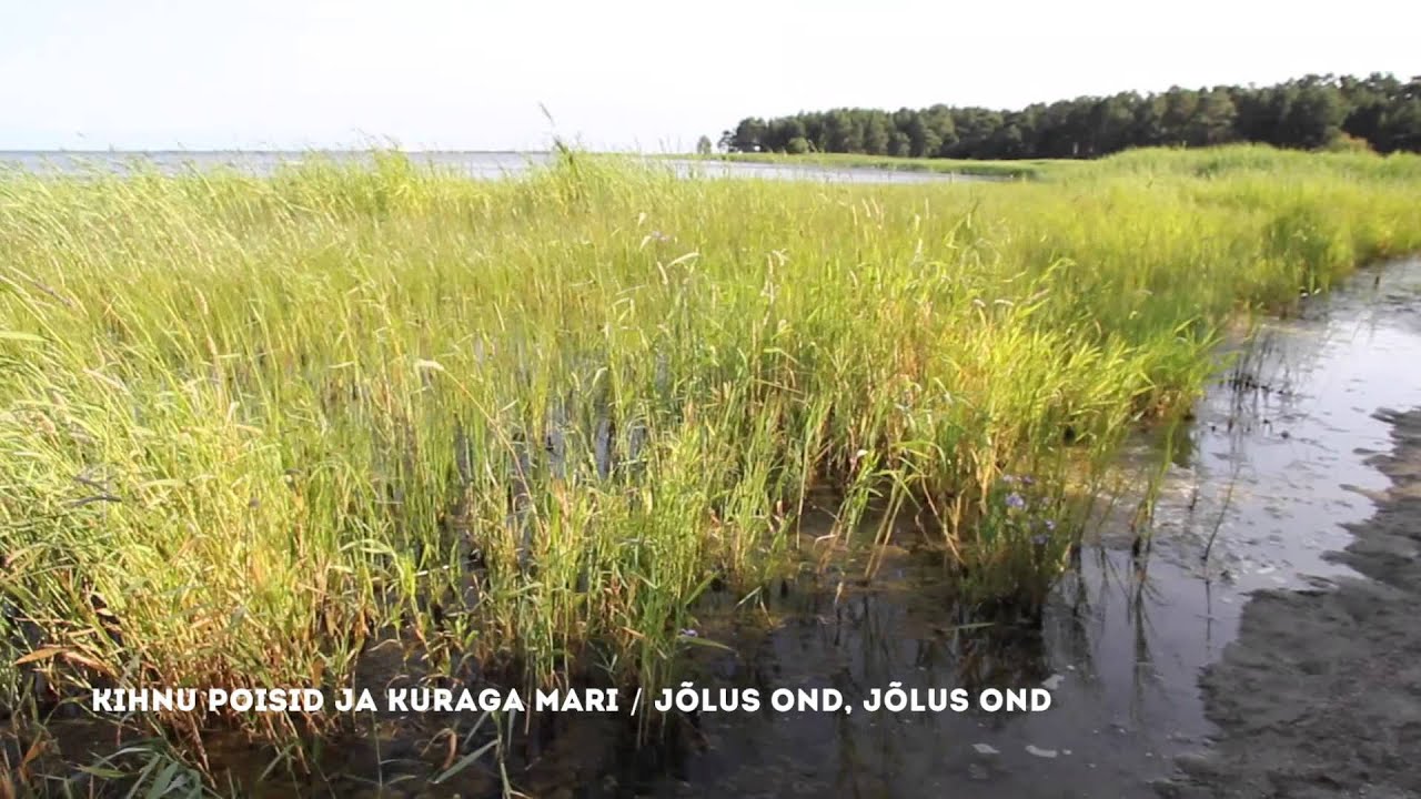Kihnu Poisid & Kuraga Mari - Jõlus ond, jõlus ond