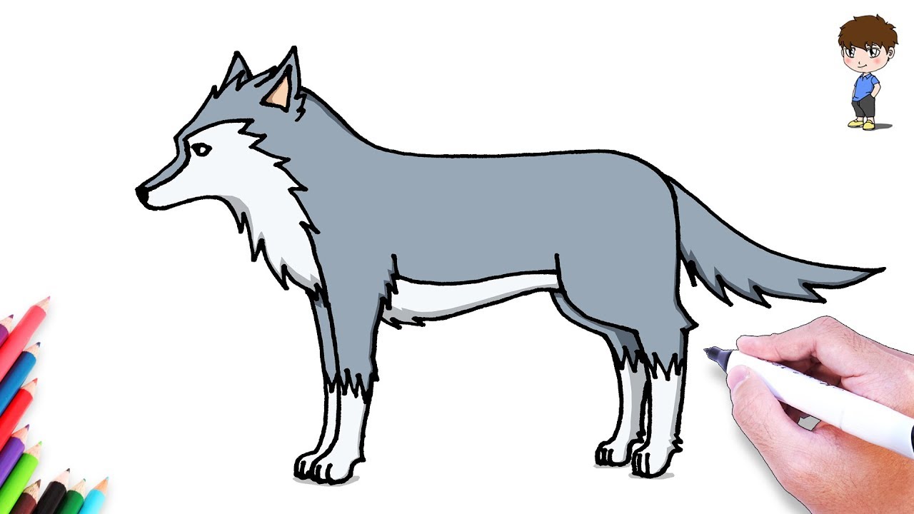 Comment Dessiner un Loup facilement &ndash; Dessin Facile a Faire - Dessin de Loup