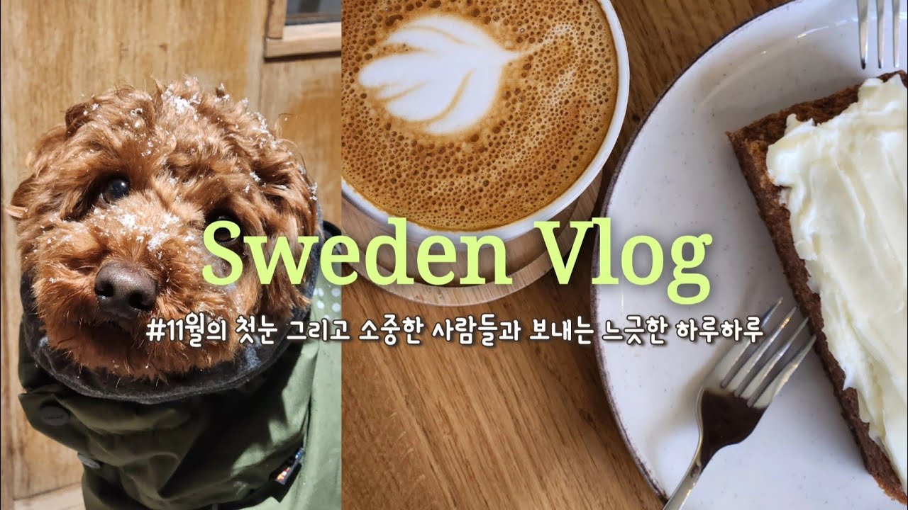 [VLOG] 스웨덴 브이로그 🇸🇪 | 함께 보내는 느긋한 일상 | 논문 마지막 작업📚 | 감자와 첫눈 함께 보기🐶