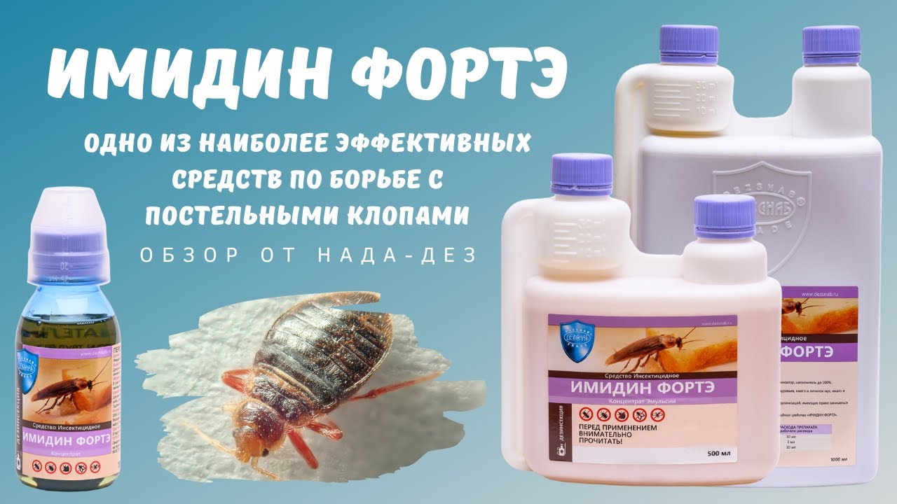 Имидин Фортэ - одно из наиболее эффективных средств по борьбе с постельными клопами!