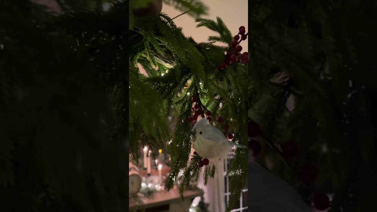 Norfolk Pine Garland with Fairy Lights & Ornaments #CozyHome #HolidayDecor