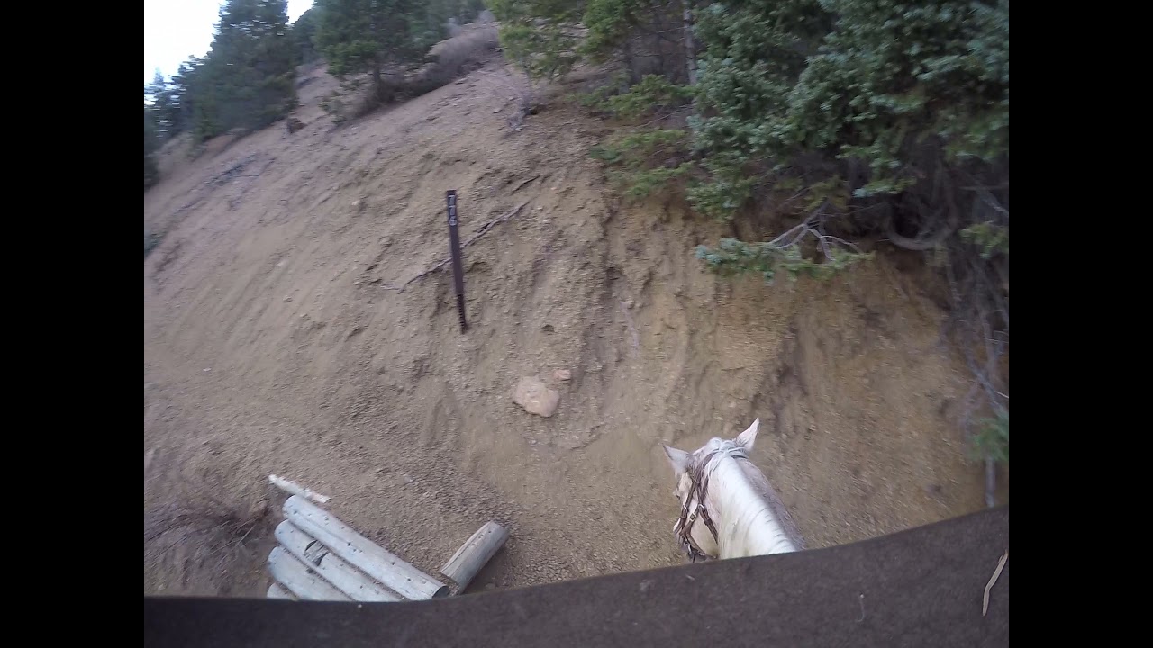 Riding the USFS 666 Trail up to the 667