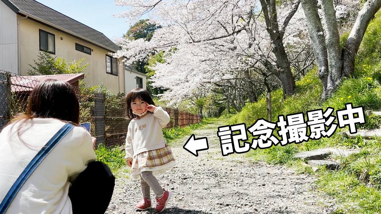 桜舞い散る公園を家族散歩