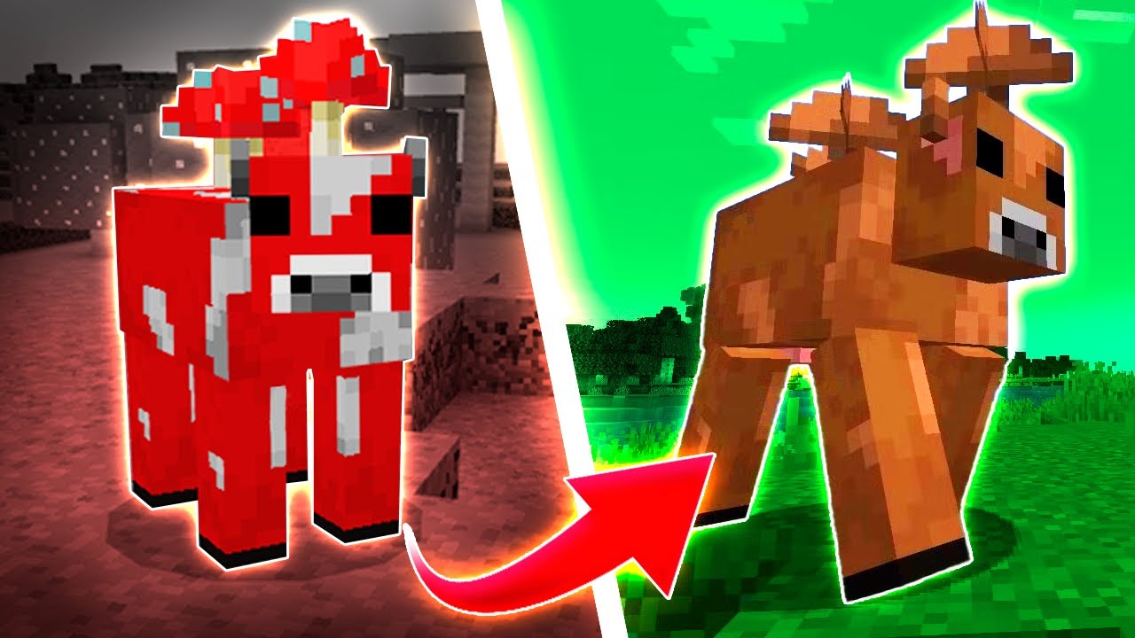 What the Brown Mooshroom is REALLY used for