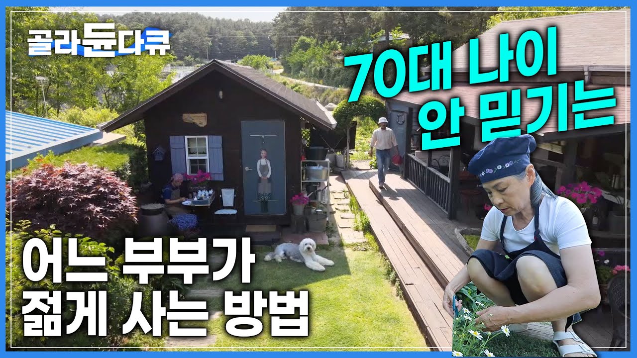한순간의 선택으로 다 잃고 어쩔 수 없이 시작한 시골생활🏡 폐가를 살 수 밖에 없었던 부부는 인생을 다시 쓰기로 했습니다 | 70대 금손 부부 | #골라듄다큐