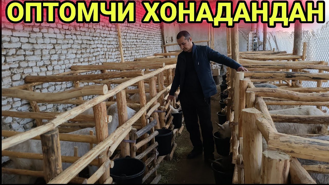 НАСИЛДОР ЭЧКИ КИДИРЯТГАНЛАР УЧУН МАХСУС