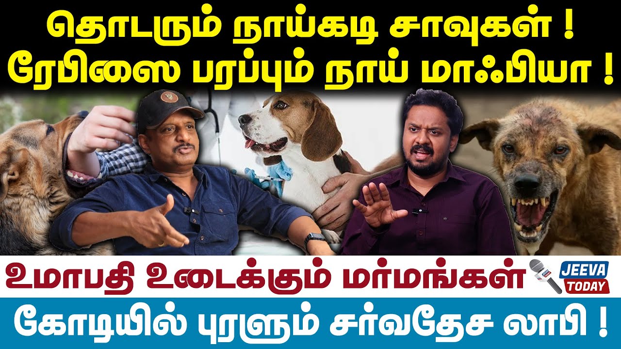Umapathy Interview | தொடரும் நாய்கடி சாவுகள் ! ரேபிஸை பரப்பும் நாய் மாஃபியா !