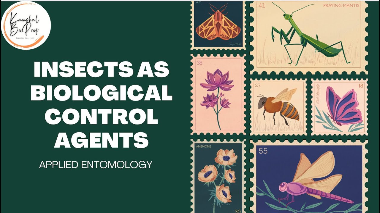 APPLIED ZOOLOGY | APPLIED ENTOMOLOGY | INSECTS AS BIOLOGICAL CONTROL AGENT