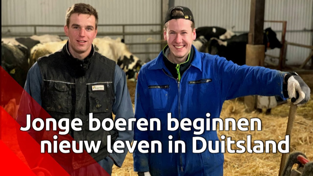 Bram (21) probeert een nieuw leven als boer op te bouwen in Duitsland: 'Ik voel me hier meer welkom'