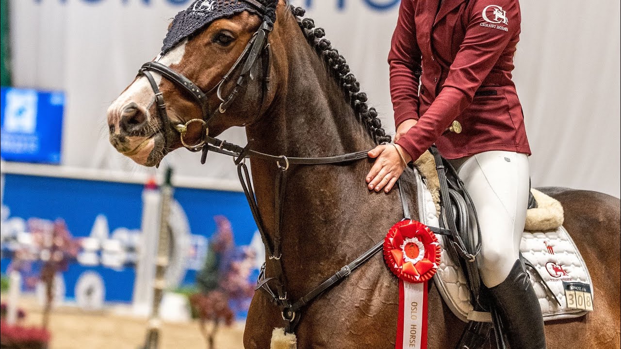 Willpower 2. plass 110 Oslo Horse Show 2023