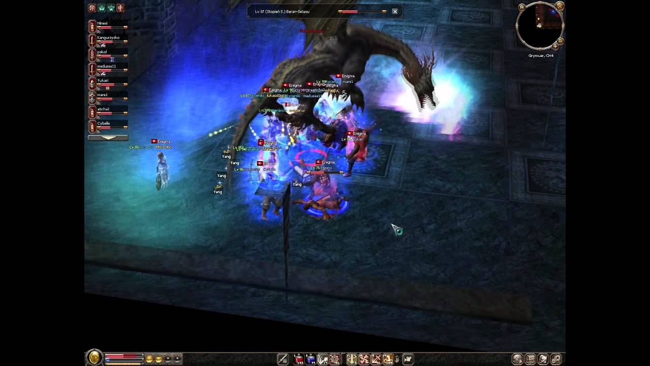 Metin2.pl - Ninexi & Enigma vs Beran setaou