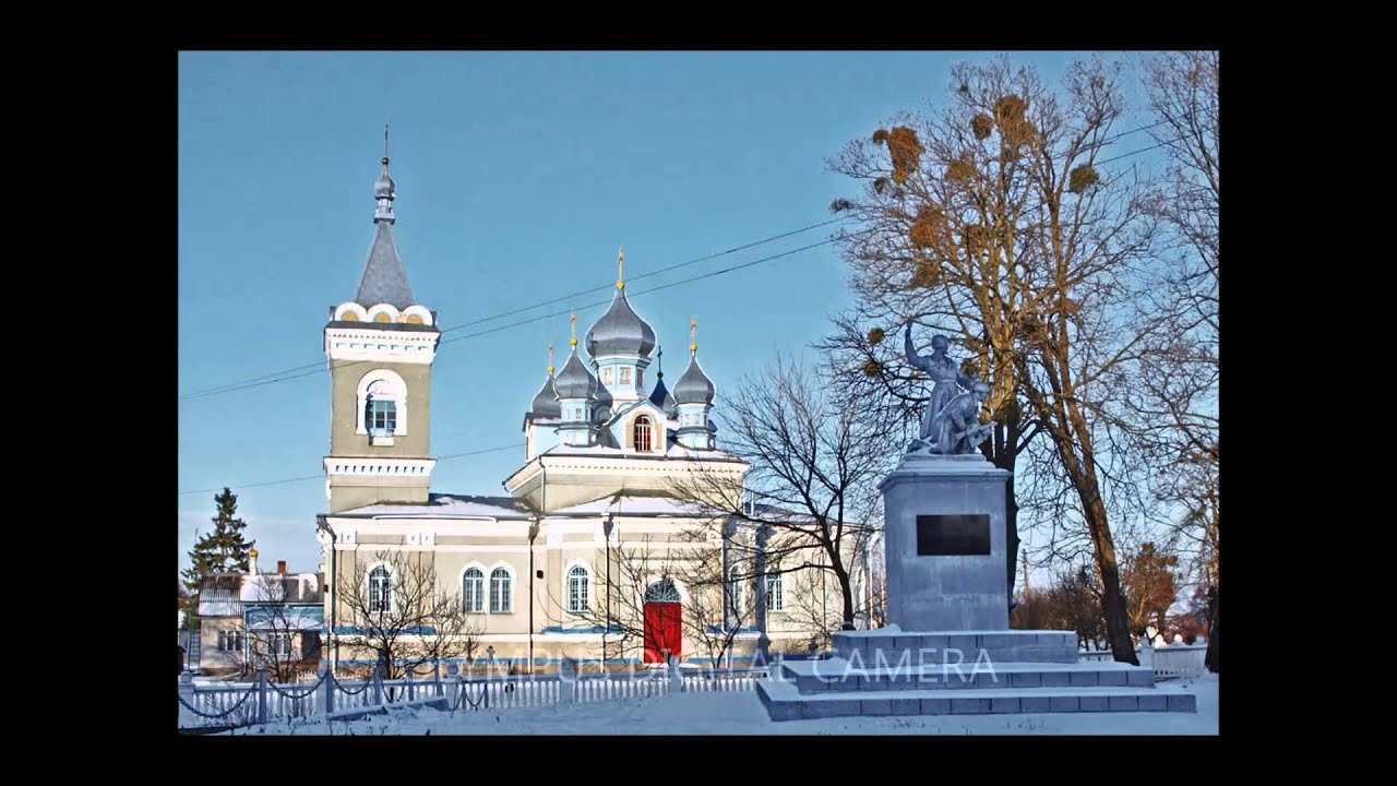 Радивилов 2013