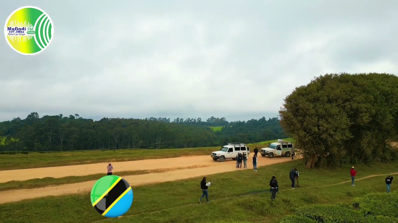 MASHAMBA YA CHAI MUFINDI IRINGA TANZANIA