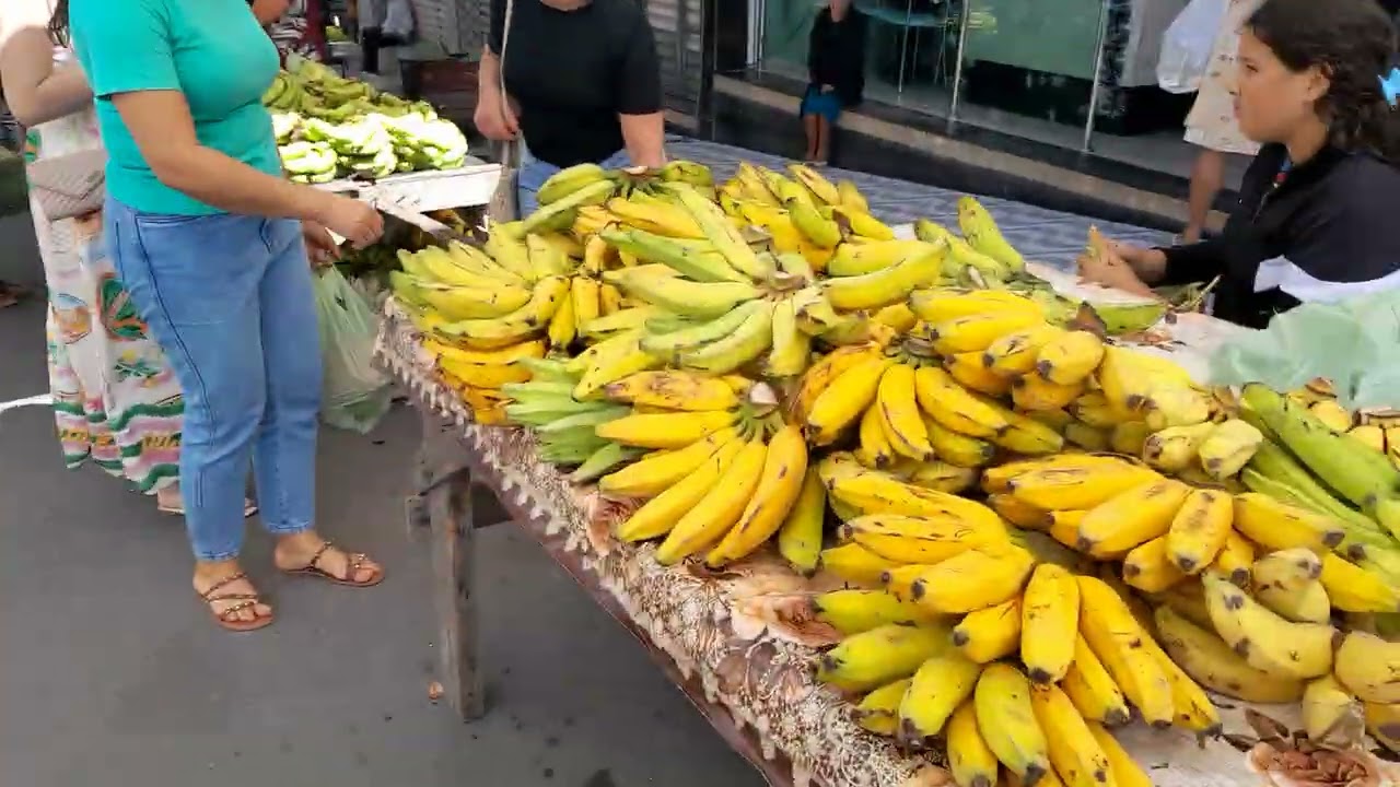 Feira livre Capoeiras pe 