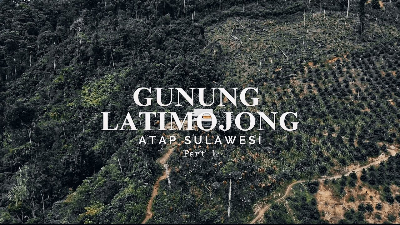 MENAPAK DITANAH SULAWESI PENDAKIAN GUNUNG LATIMOJONG PUNCAK TERTINGGI SULAWESI PART 1