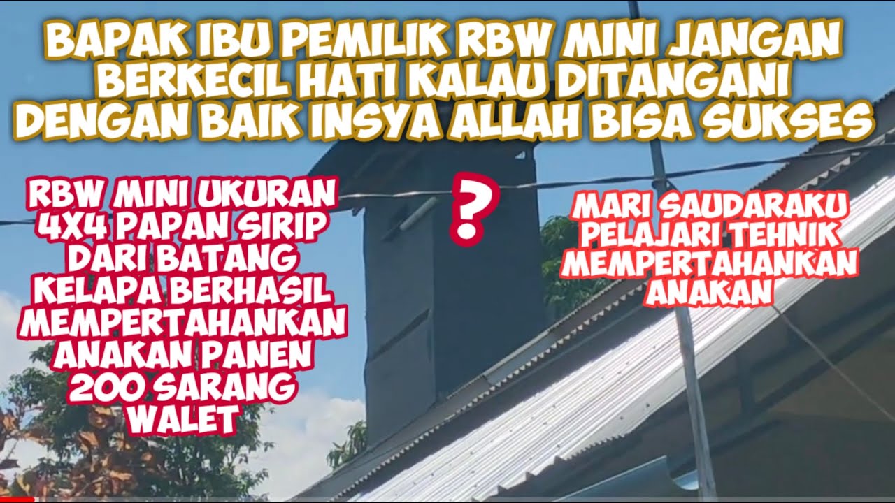 RBW MINI BEKAS KAMAR UKURAN 4X4 1 LANTAI PAPAN SIRIP BATANG KELAPA PANEN 200 SARANG