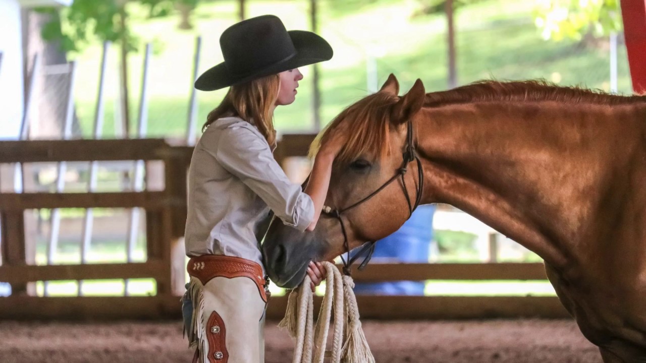 Организация Heart of Phoenix Equine Rescue: Кто мы?
