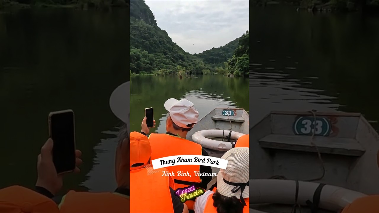 Thung Nham Bird Park in Ninh Binh, Vietnam: A Paradise for Birdwatching & Nature Lovers #shorts