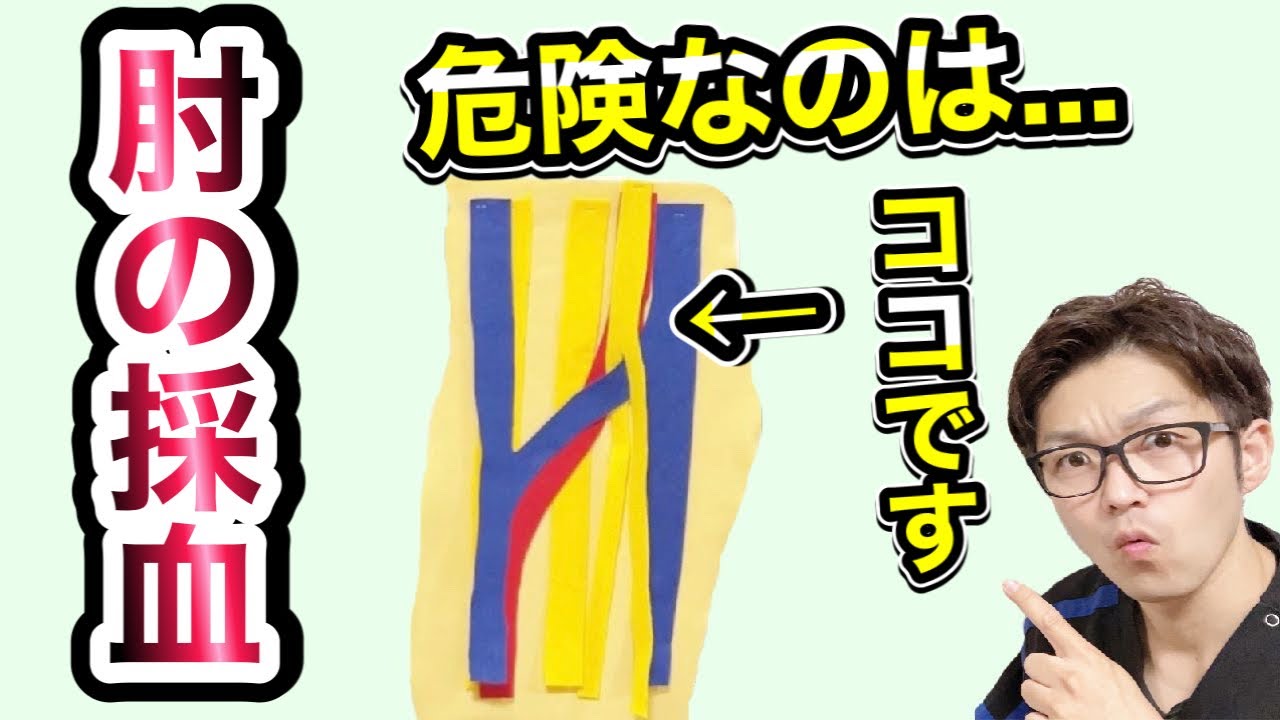 【採血のコツ】肘の採血、押さえておくべき神経と動脈の走行