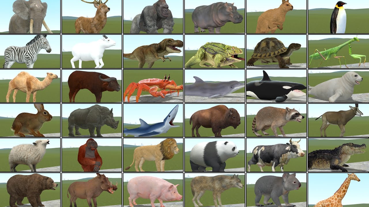 I Found EVERY Animal in Garry’s Mod!