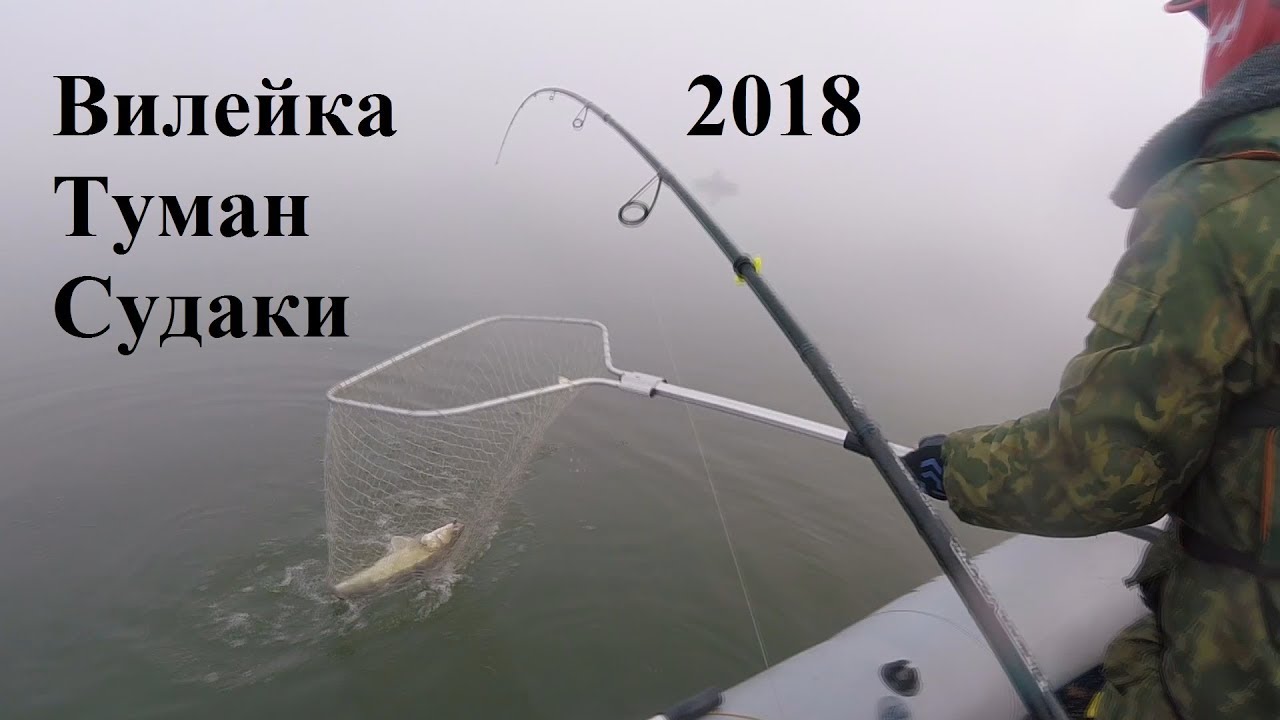 Ловля хищника на Вилейском водохранилище 2018