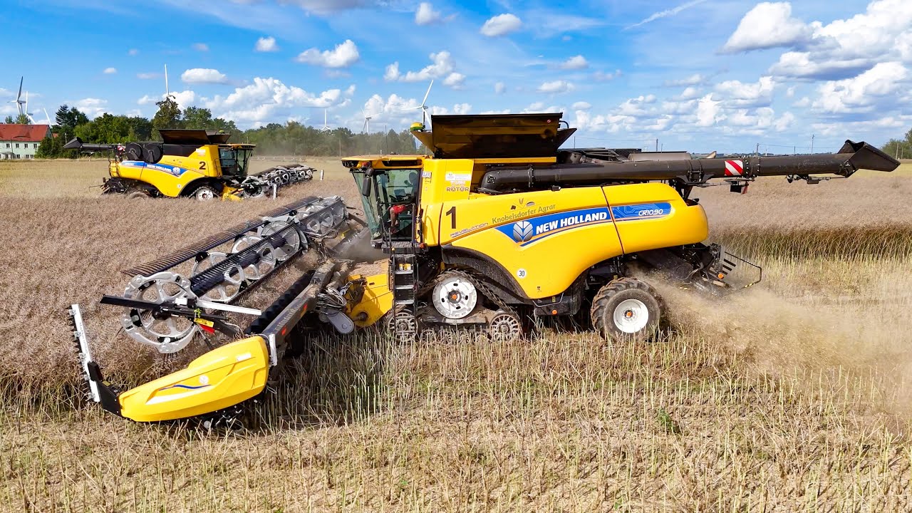 2x New Holland CR 10.90 mit 12m MacDon FD240 bei der Rapsernte
