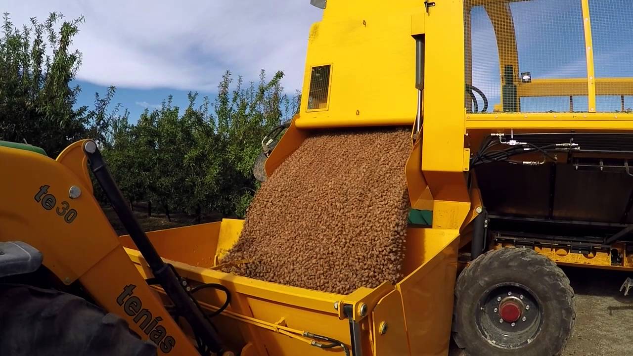 almonds harvester Tenias