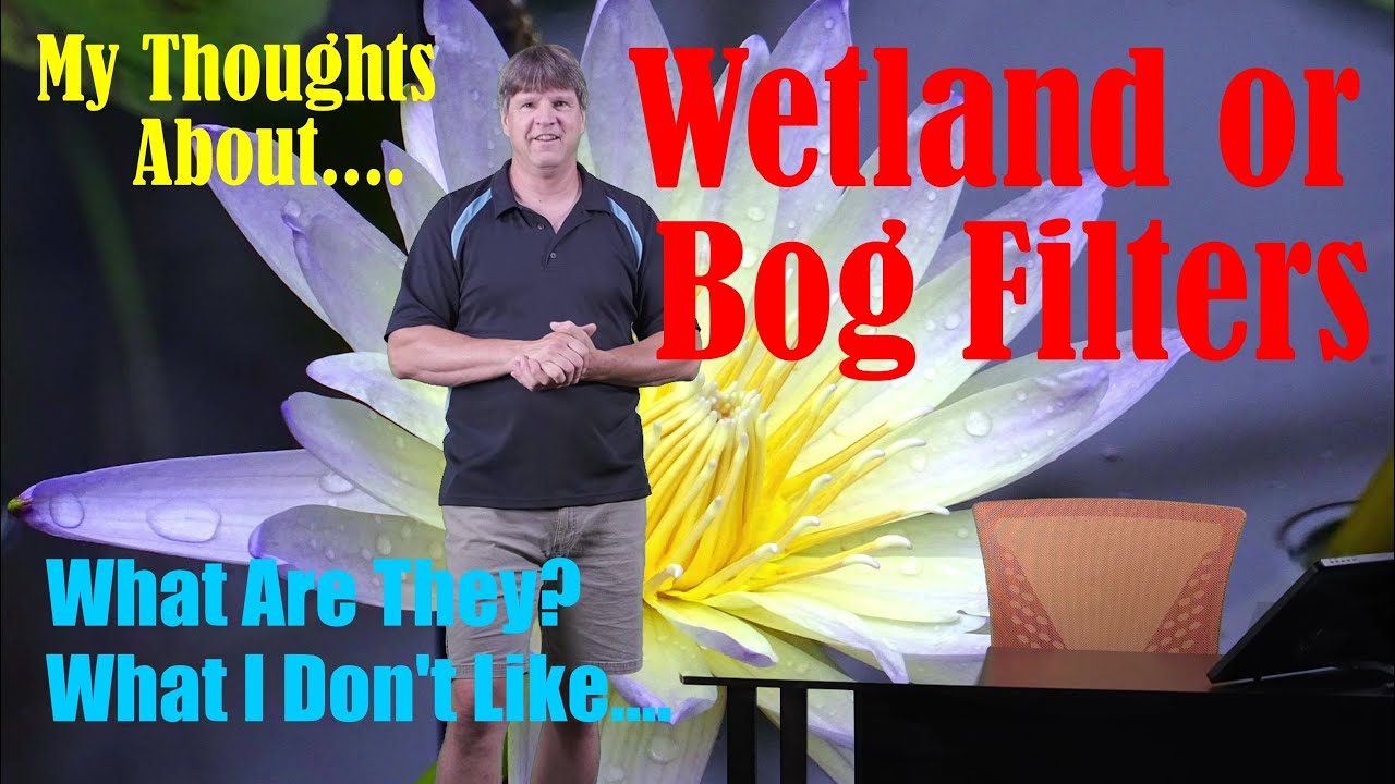 What is a Wetland Filter? (Also called a Bog Filter)